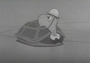 [mwaf's avatar displays the turtle Bert looking over his shoulder with a safty helmet on his head.]